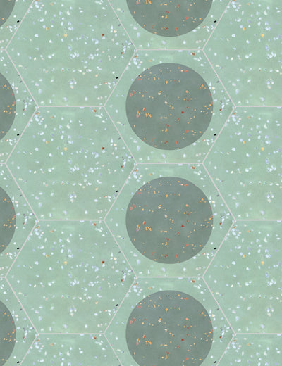 Terrazzo Hex T-5