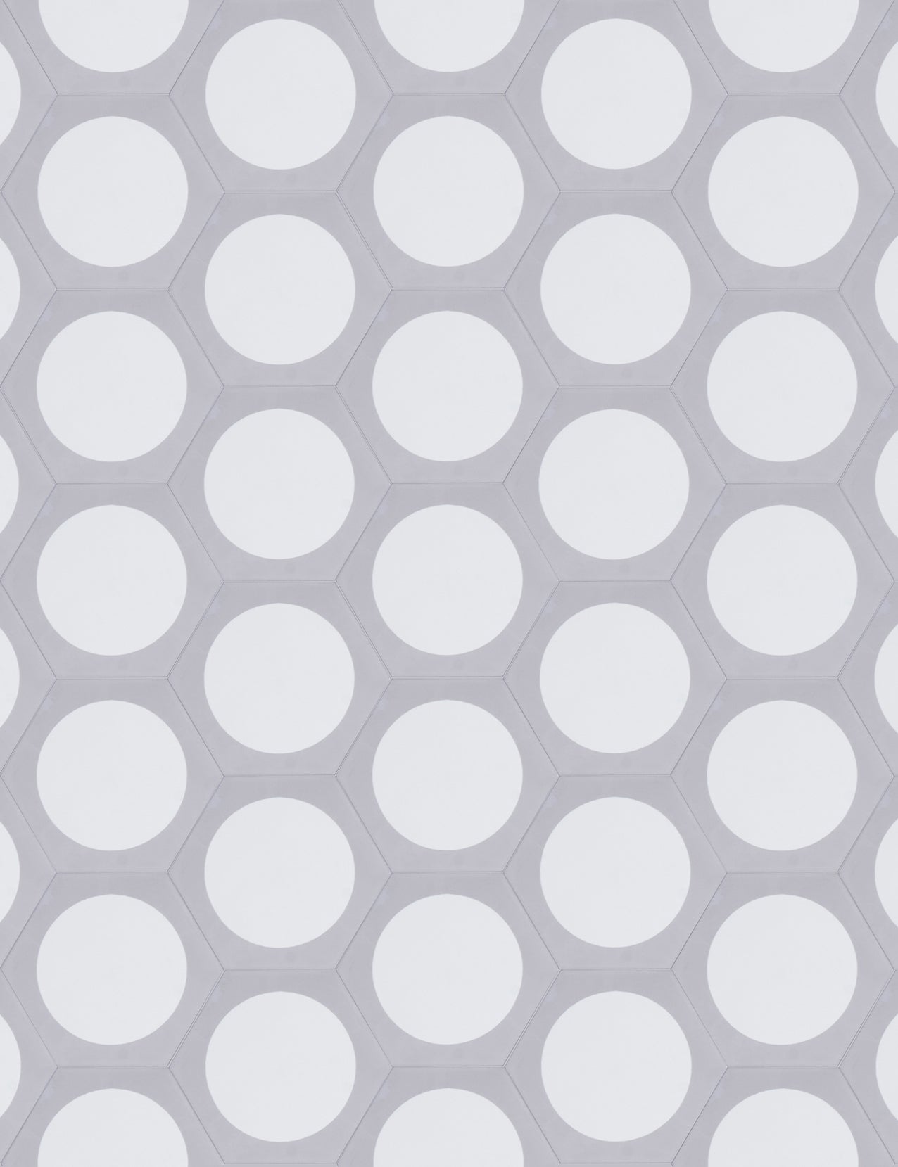 Moon Phase Full Enchanted