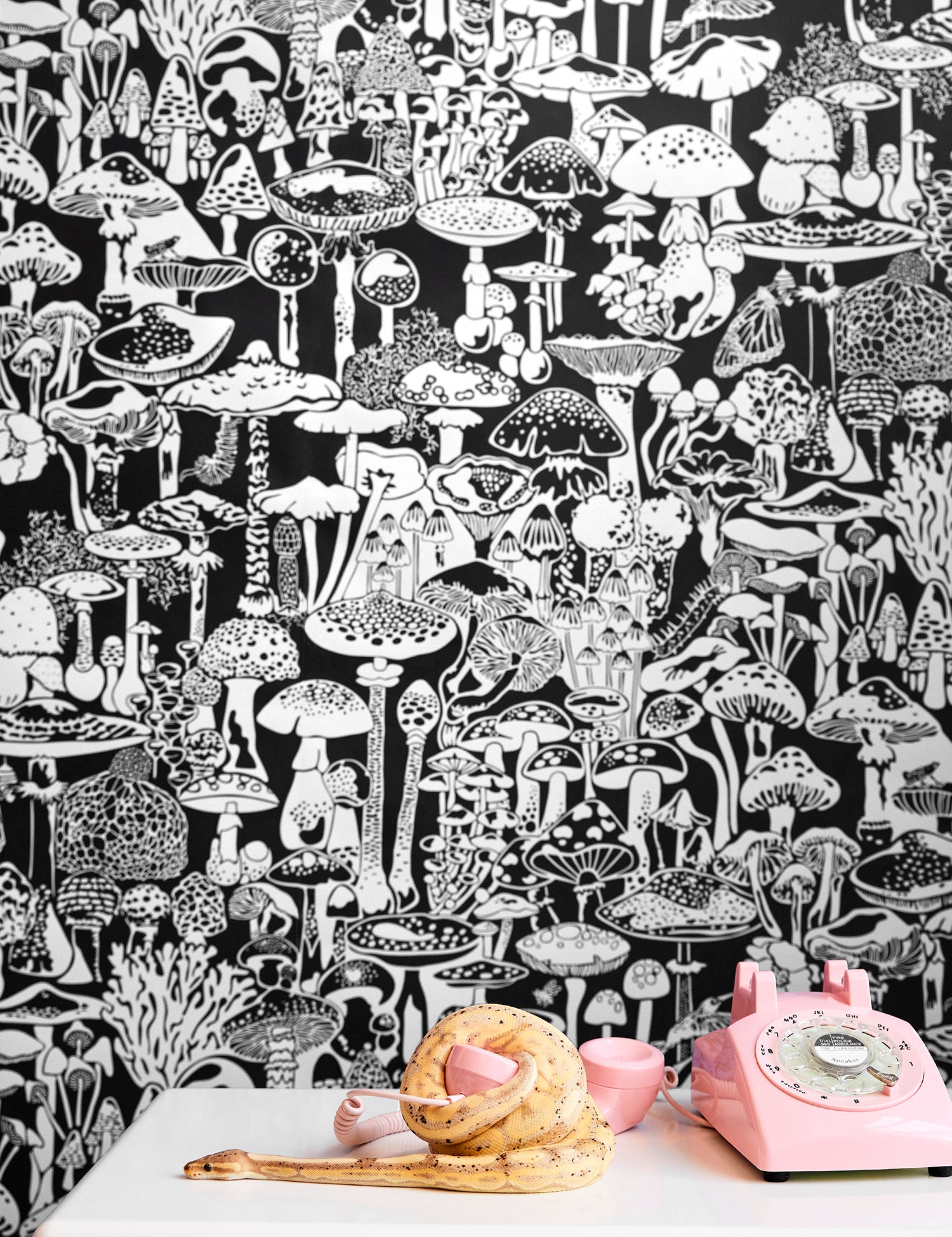 Mushroom City Contrast