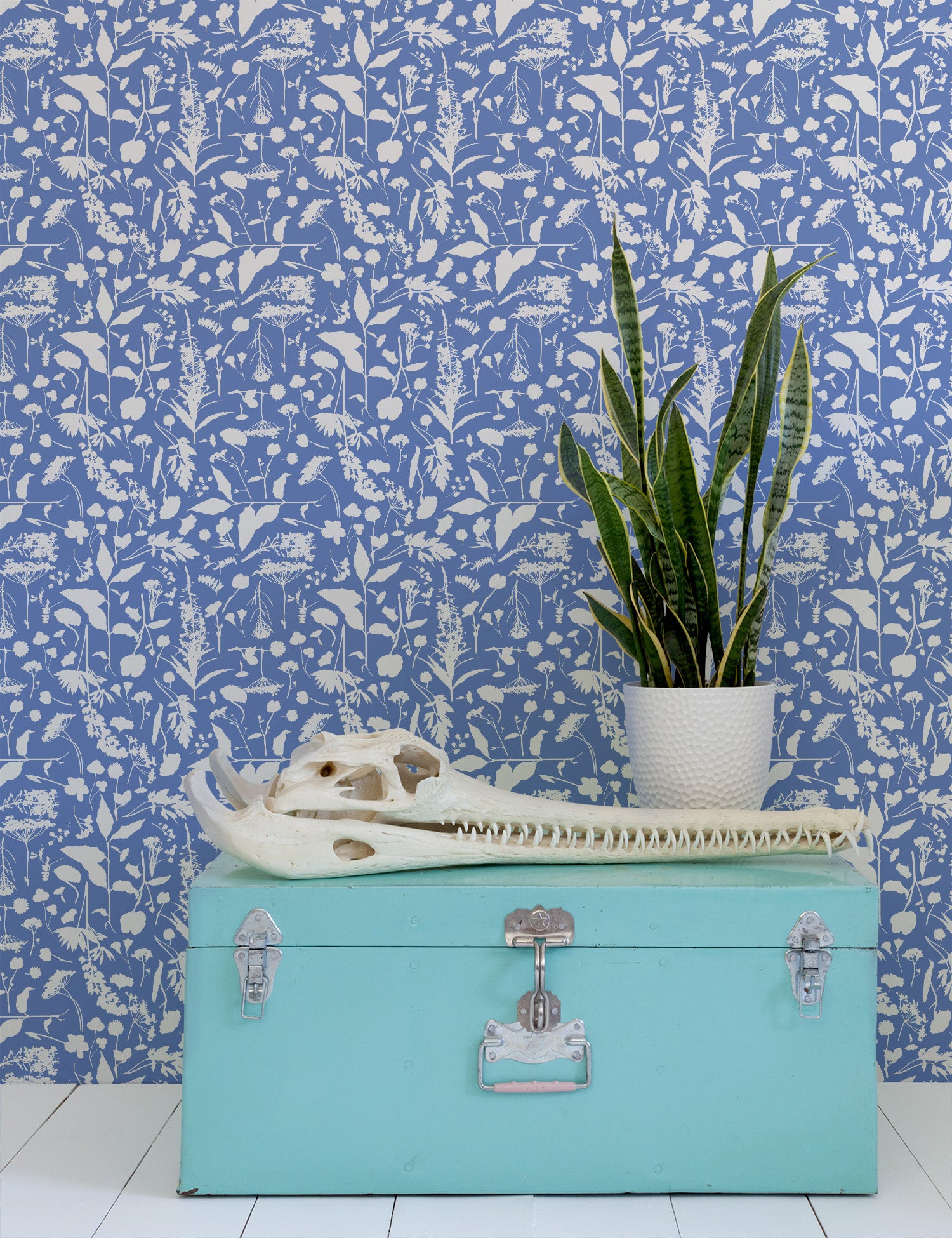 Roadside Flower Borage