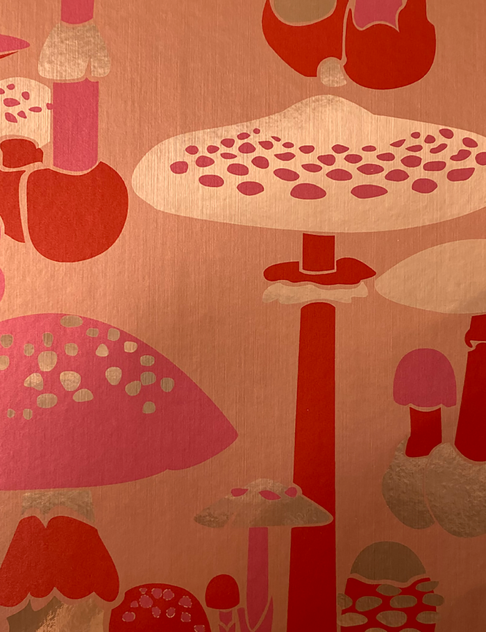 Amazing Where Can I Buy Shroomacon Image for Your Screen