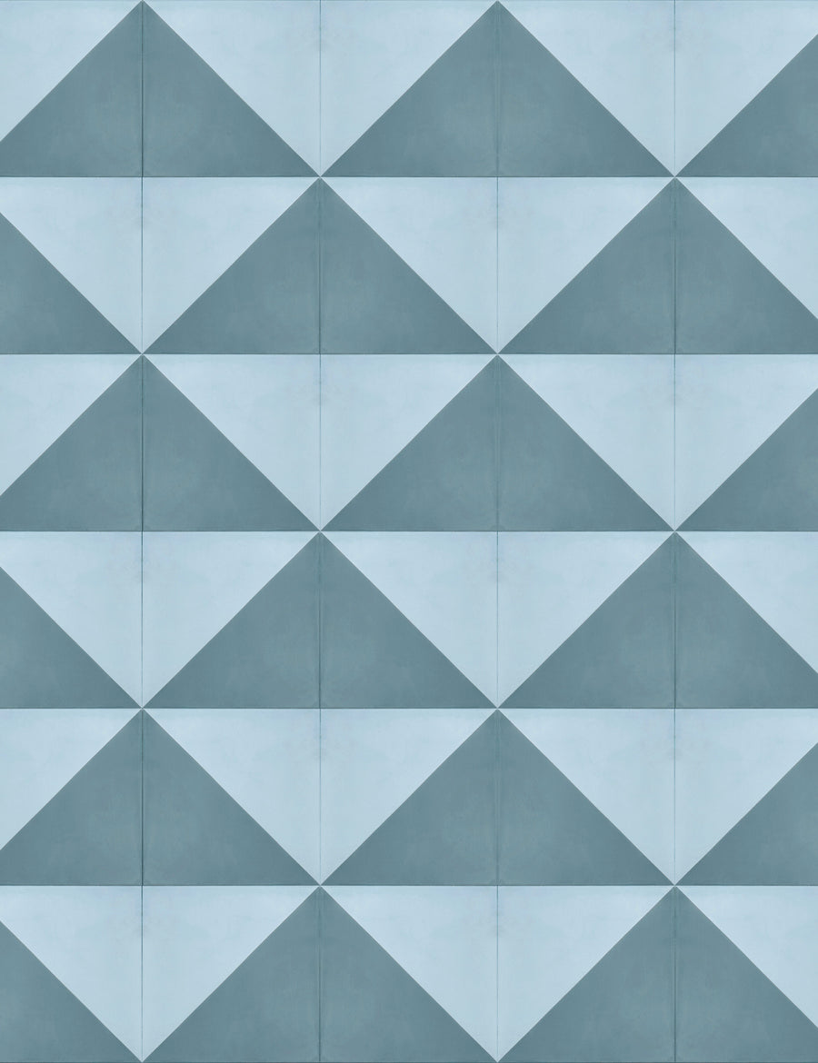 Split Square Thyme Powder