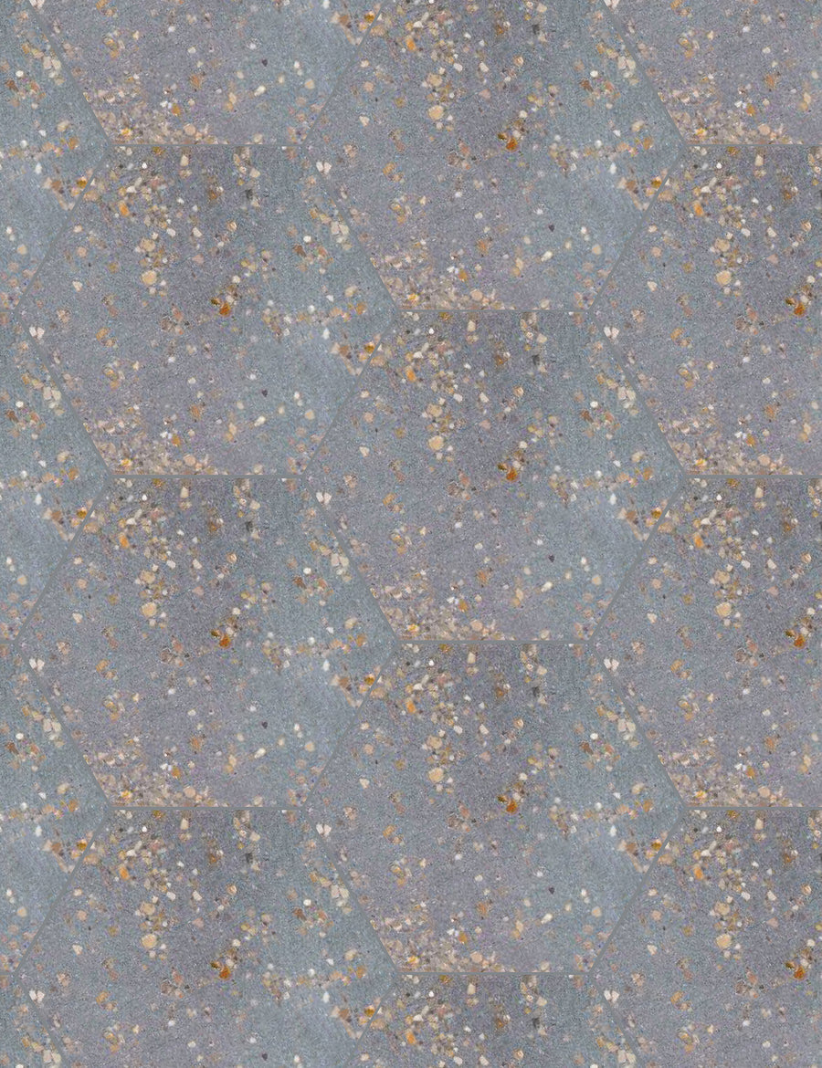 Terrazzo Hex T-1
