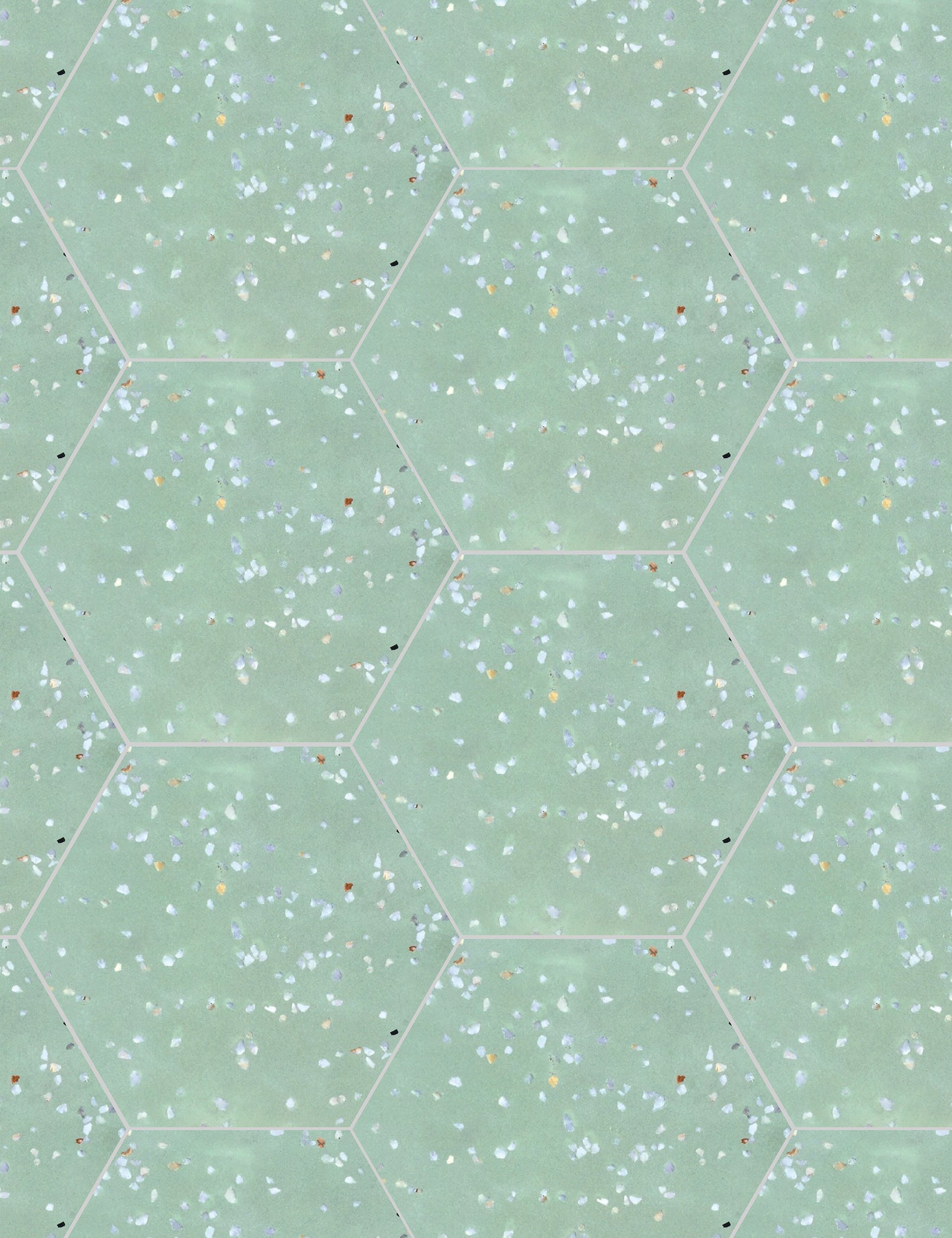 Terrazzo Hex T-5