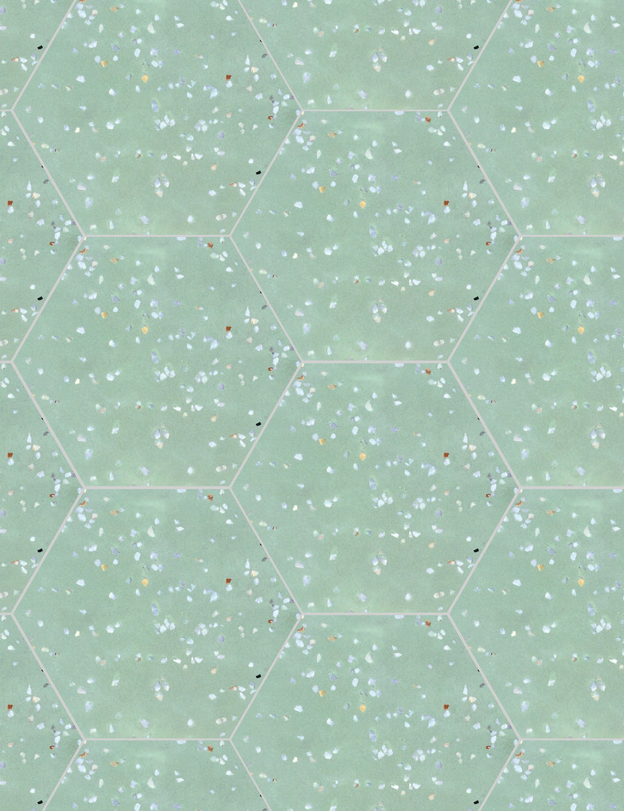 Terrazzo Hex T-5