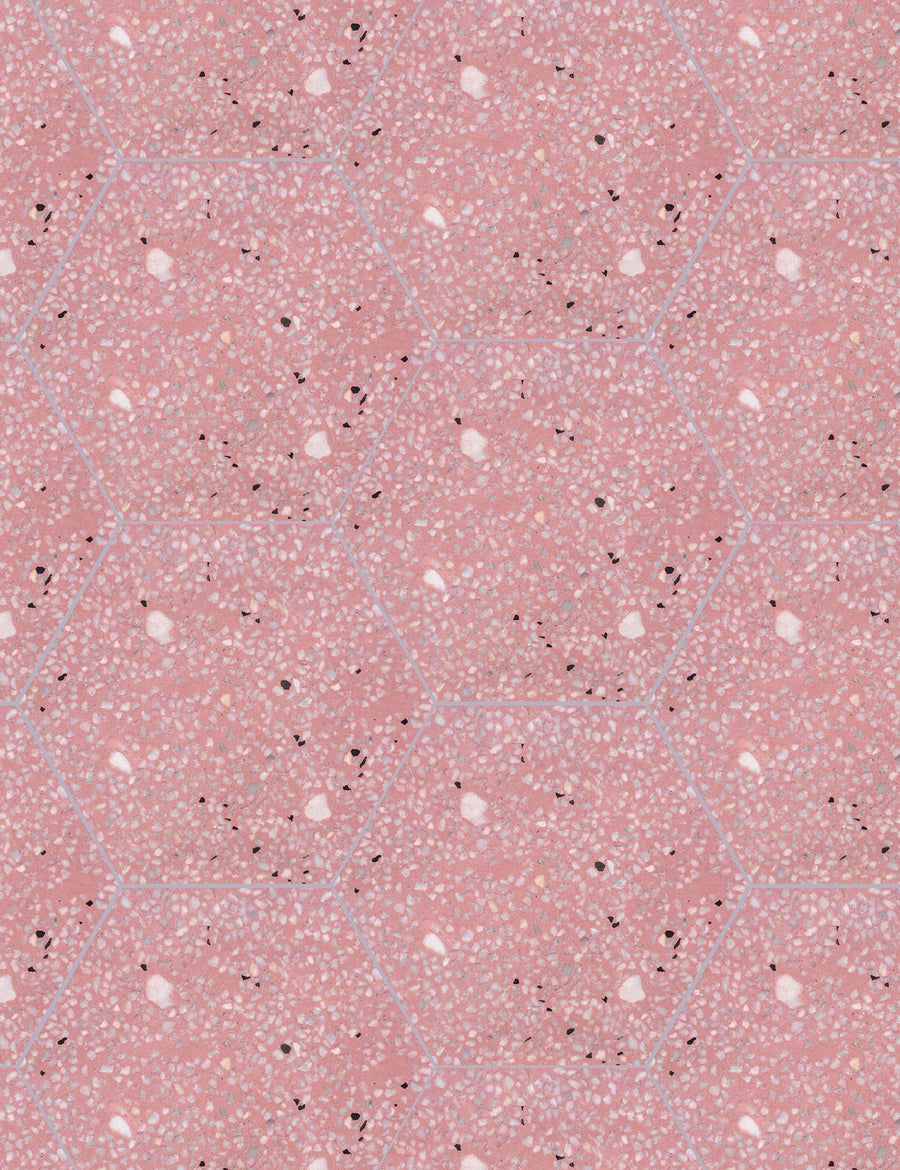 Terrazzo Hex T-7