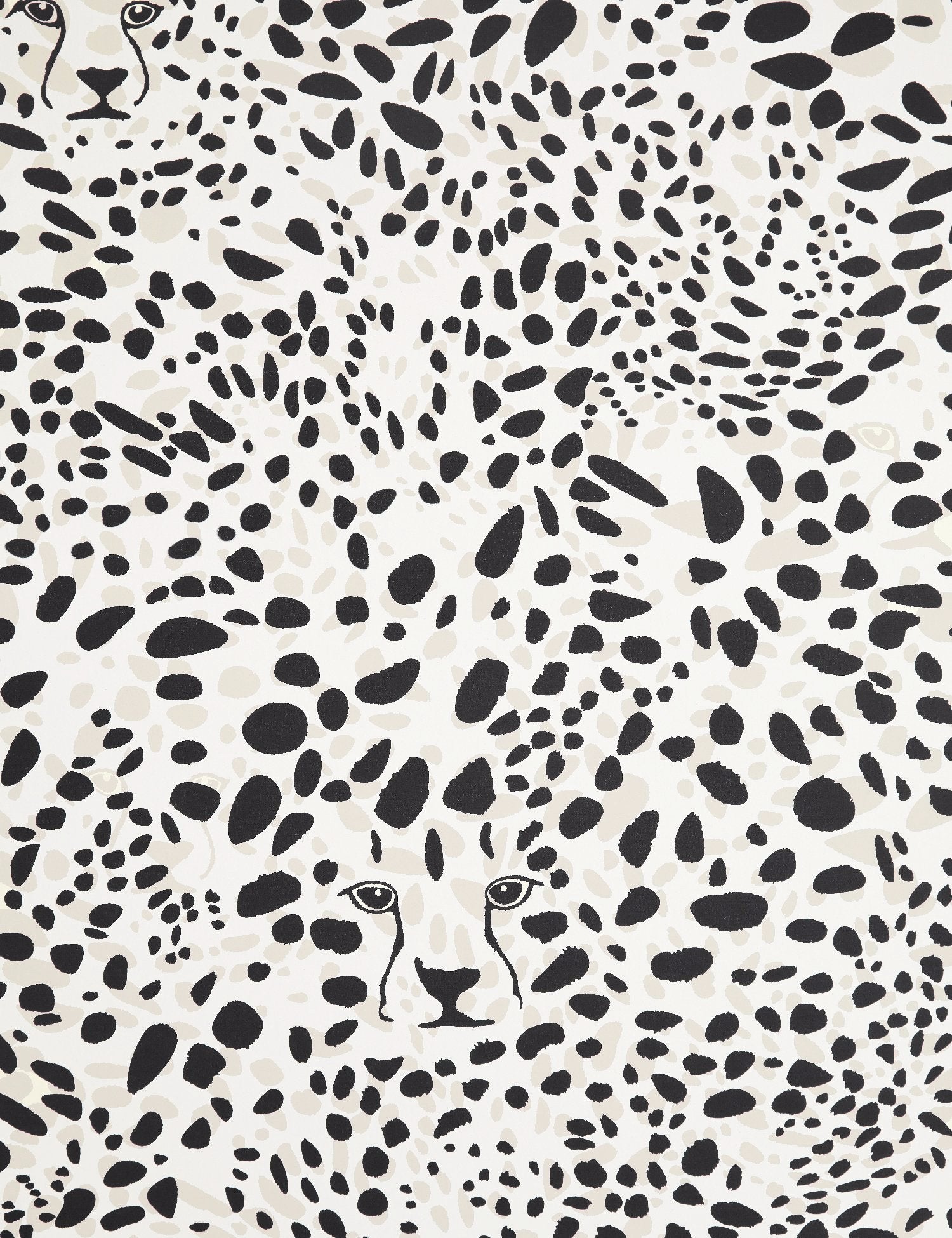 Cheetah Vision Designer Wallpaper by Aimée Wilder. Made in