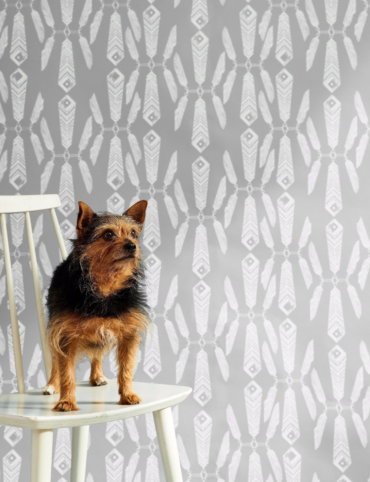 Indian Summer Heather