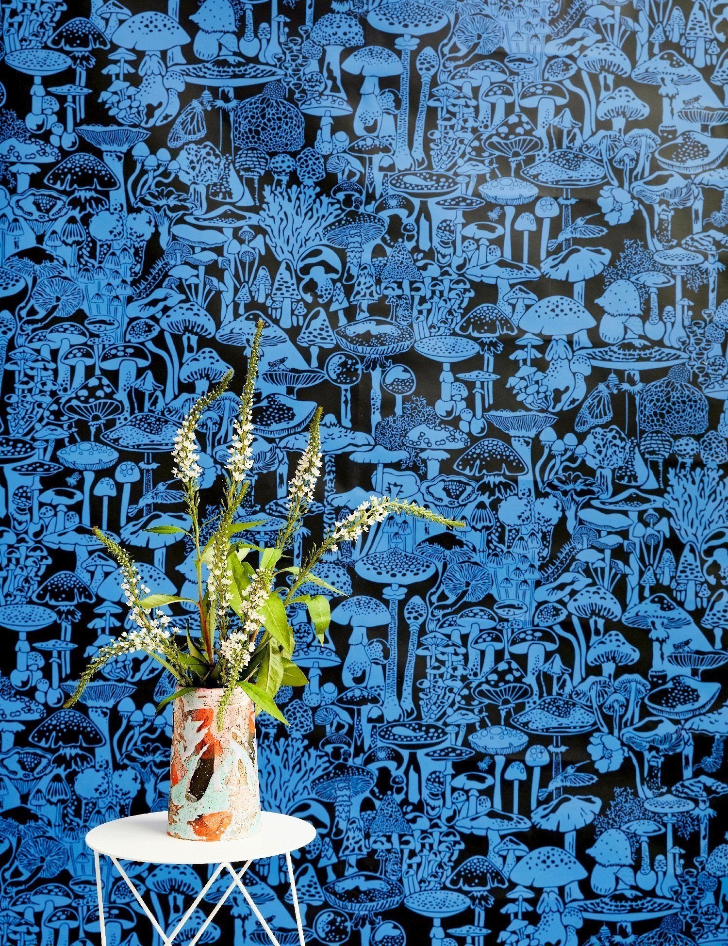 Mushroom City Asteroid