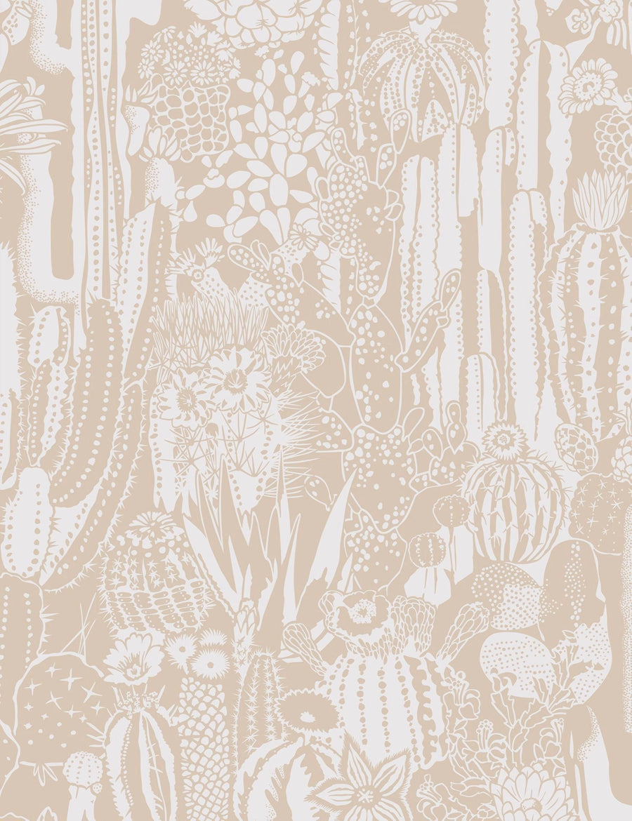 Cactus Spirit Desert