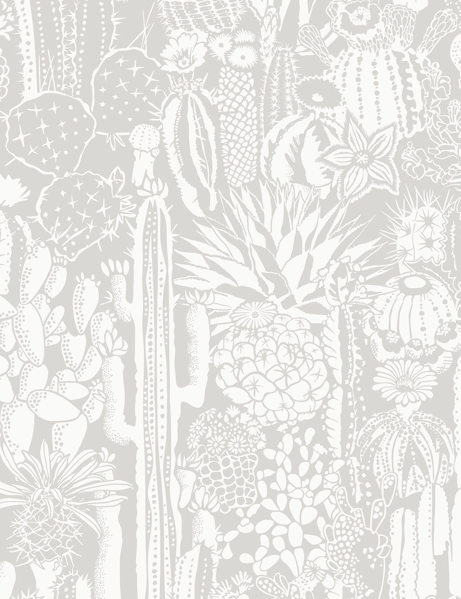 Cactus Spirit Shadow