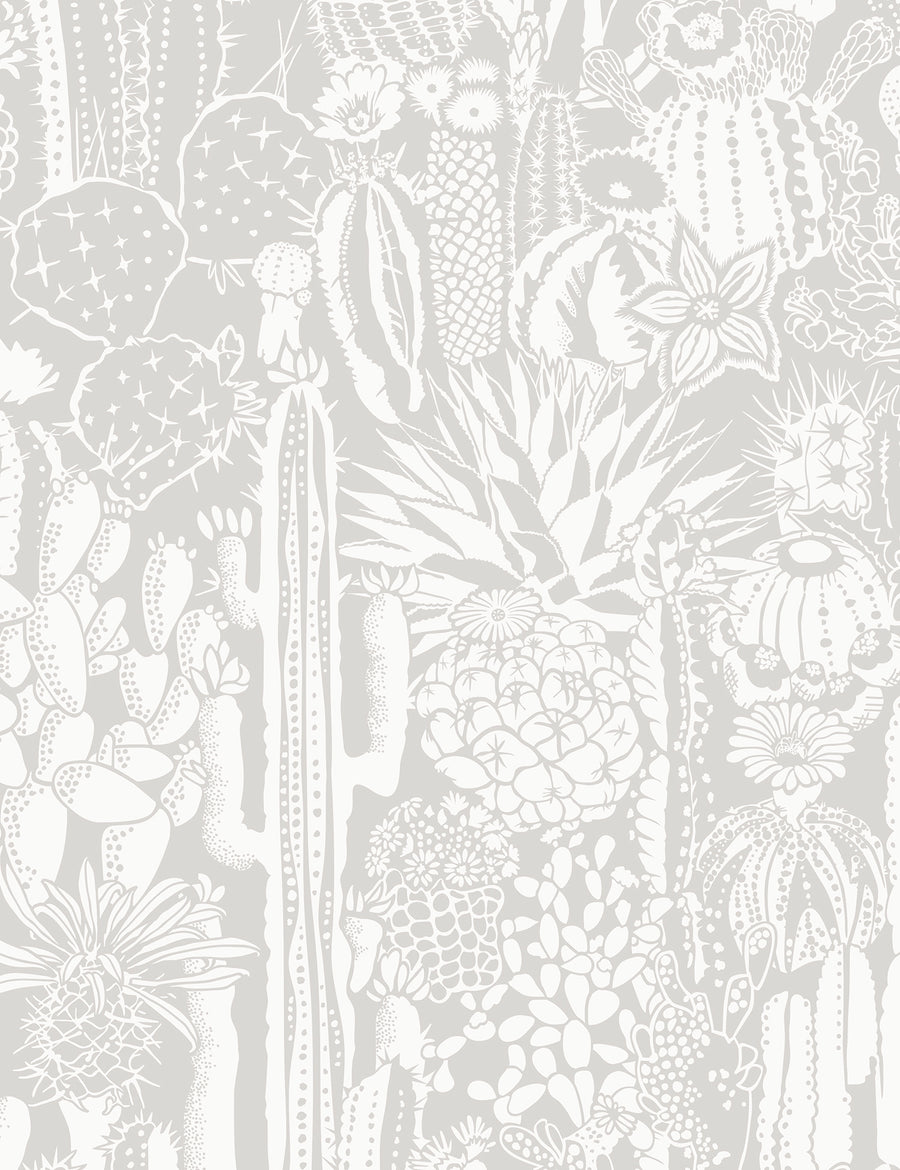 Cactus Spirit Shadow