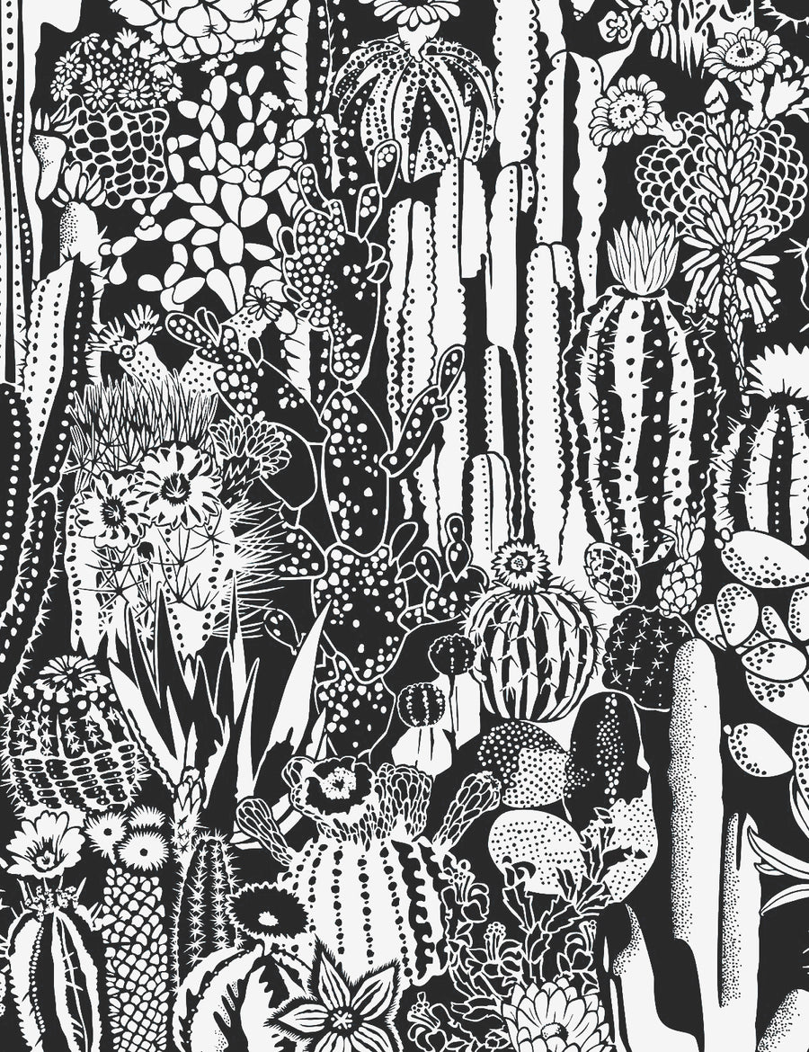 Cactus Spirit Contrast