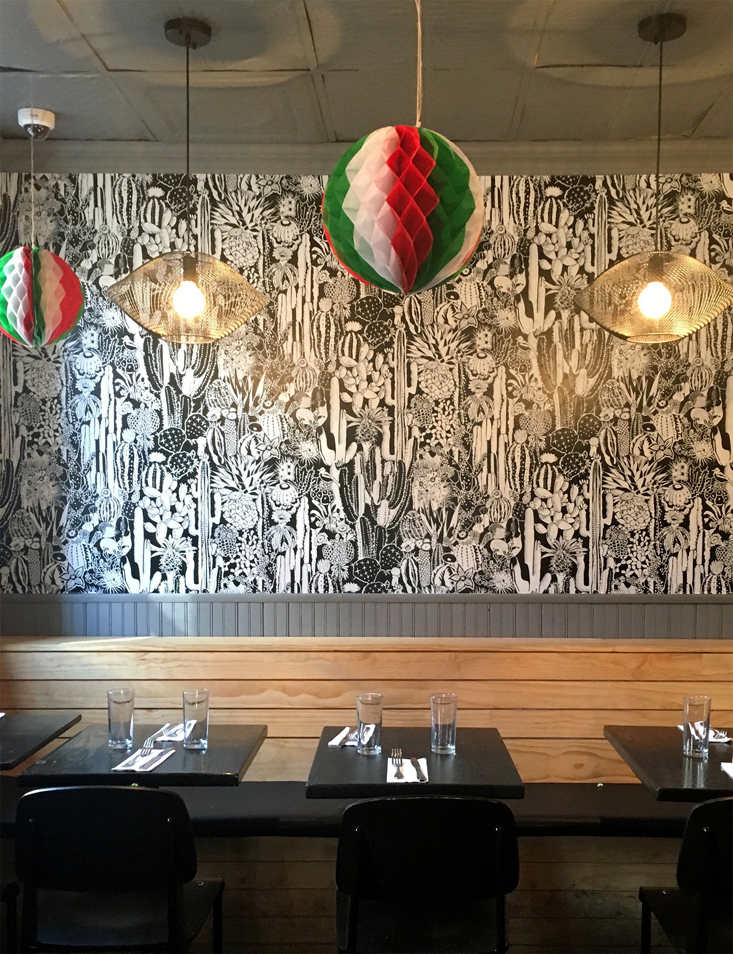 Cactus Spirit Contrast