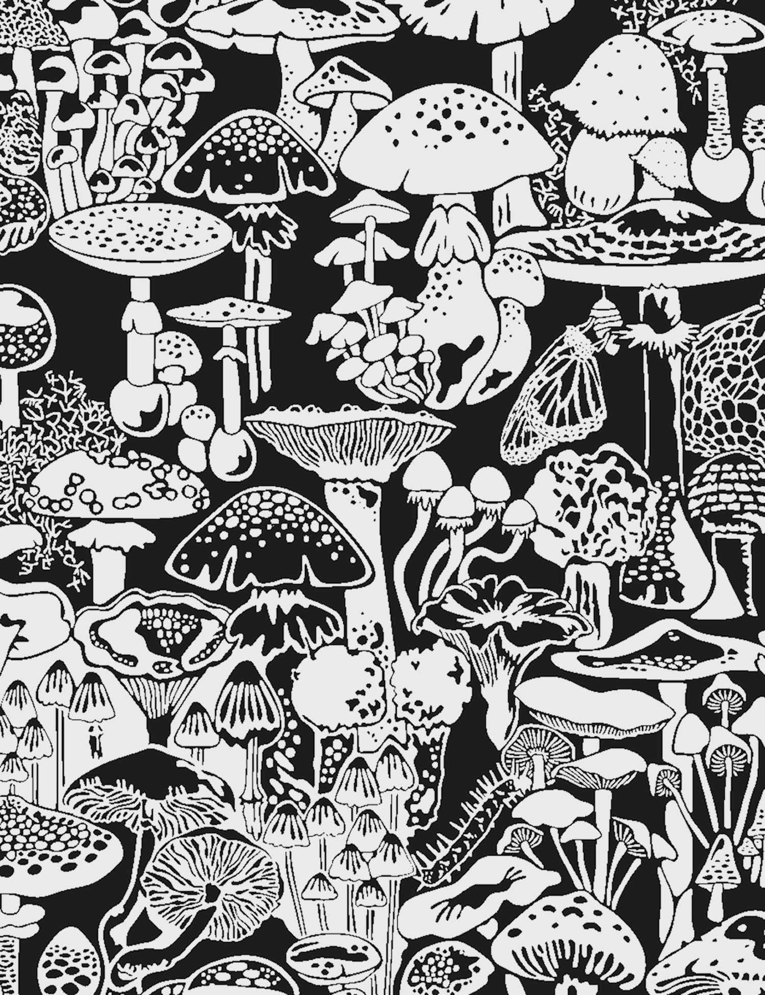 Mushrooms Wallpaper 4K, Colorful, AI art, #11715