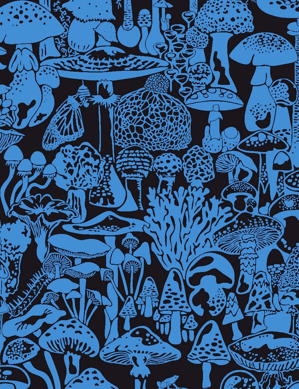 cc-mushroom_city_asteroid_600x