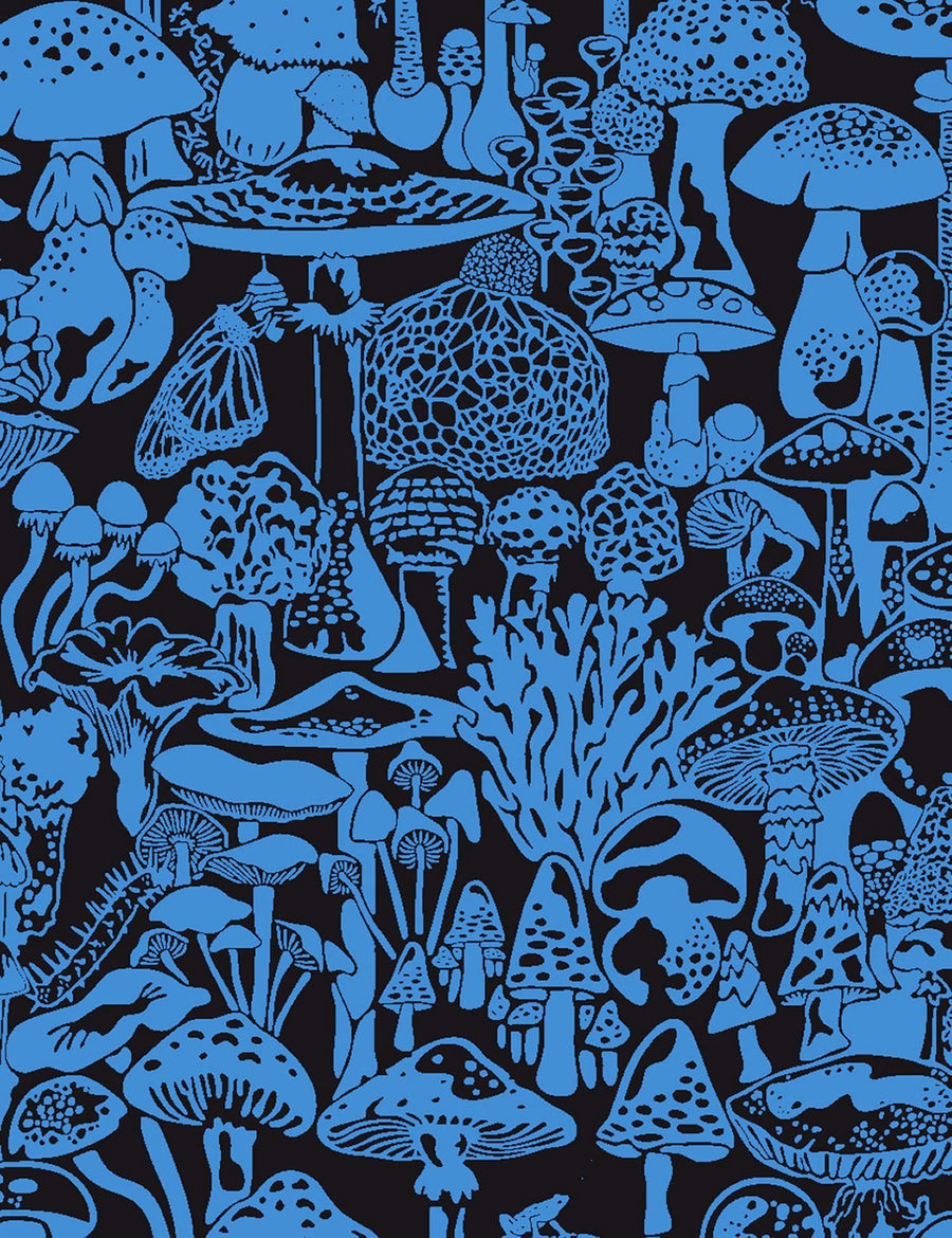 Mushroom City Asteroid