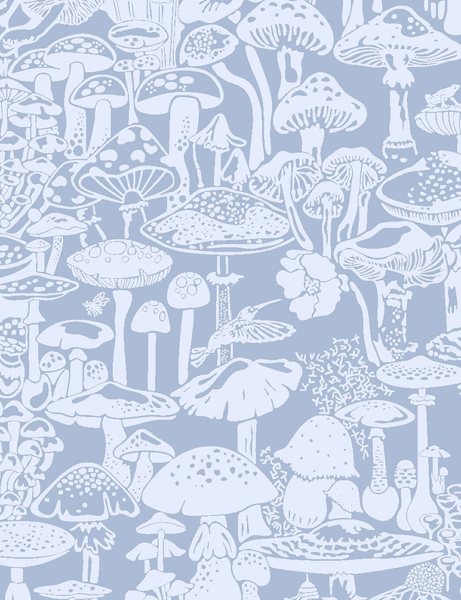 Mushroom City Glacial