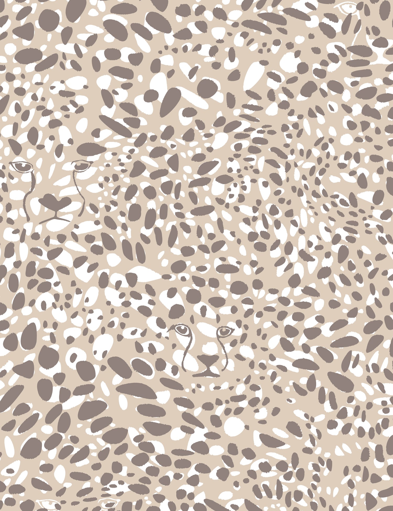 Cheetah Vision Safari