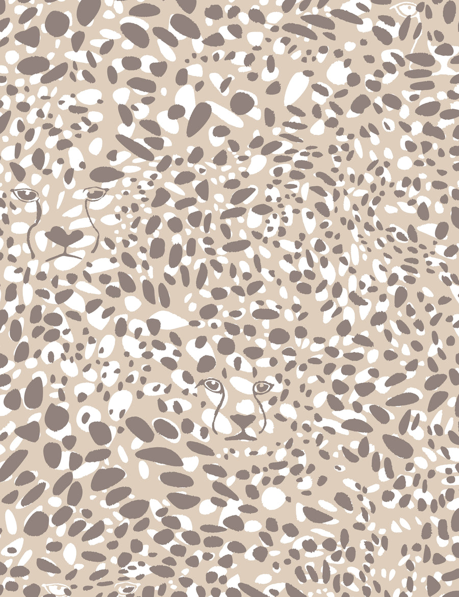 Cheetah Vision Safari