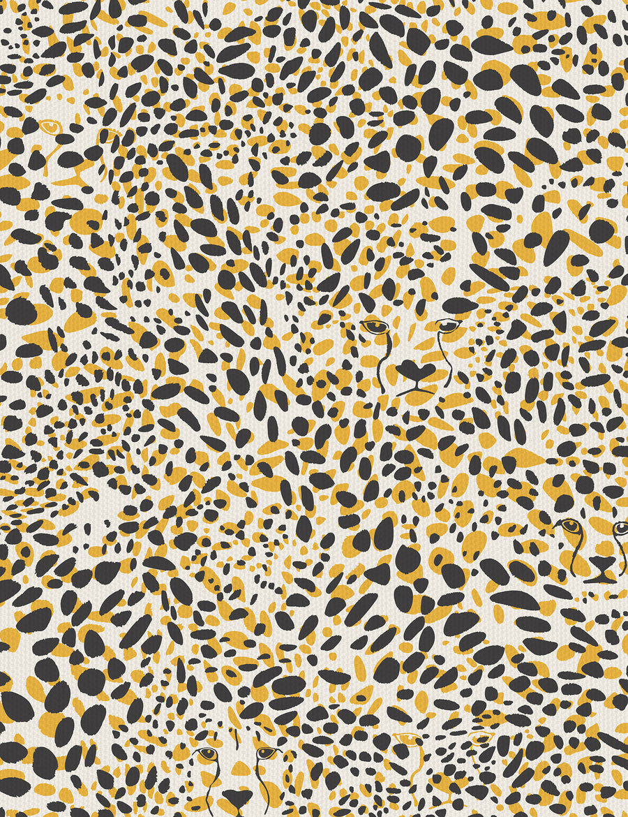 Cheetah Vision Adventura