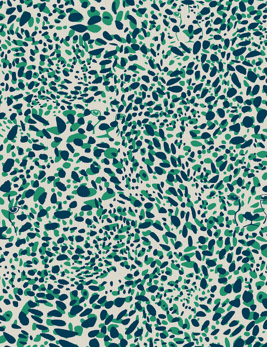 Cheetah Vision Grassland