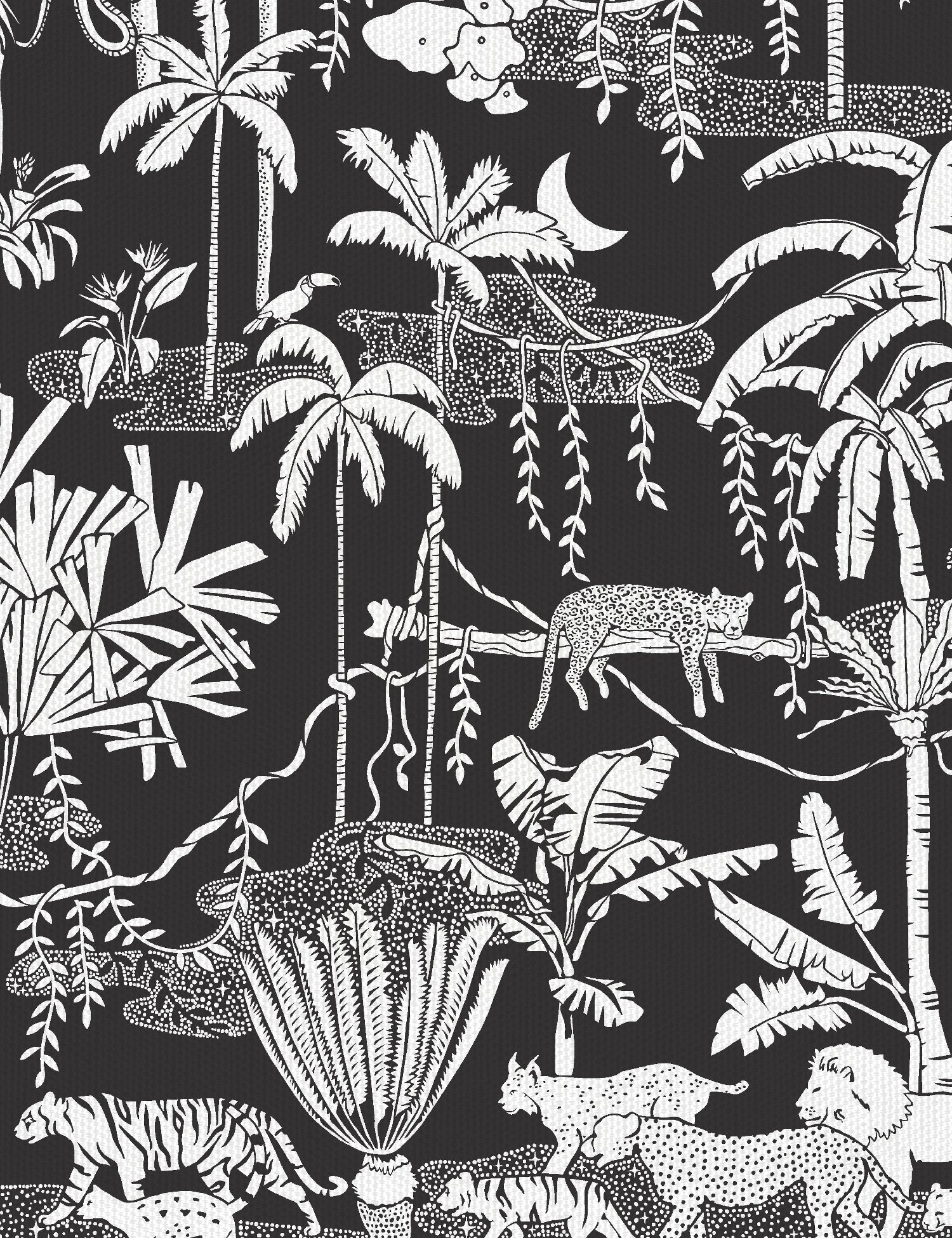 Jungle Dream Contrast