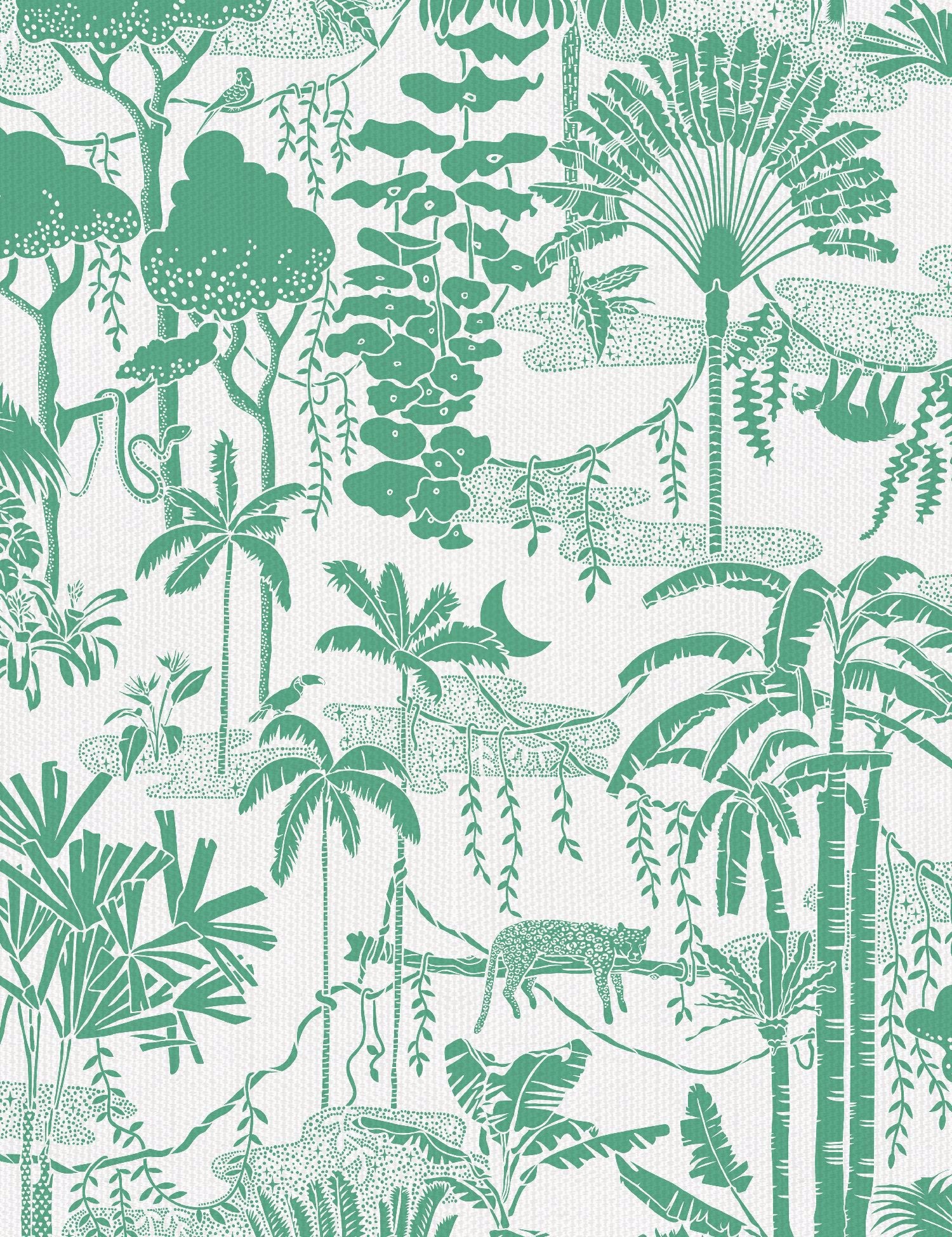 Jungle Dream Monteverde