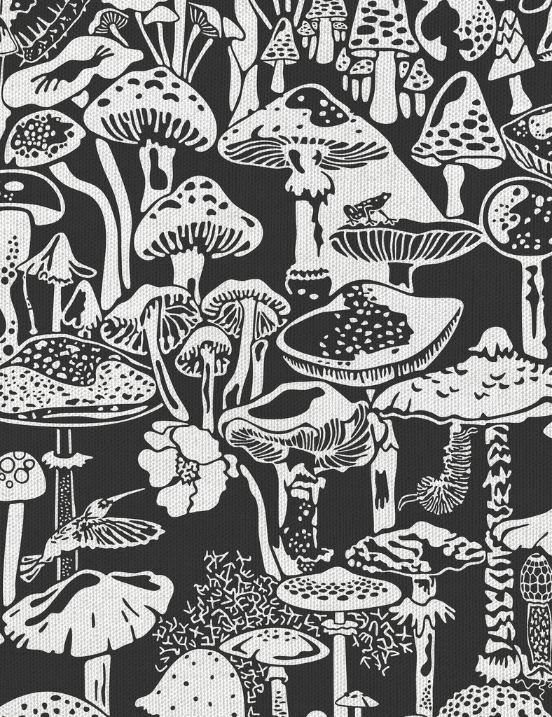 Mushroom City Contrast