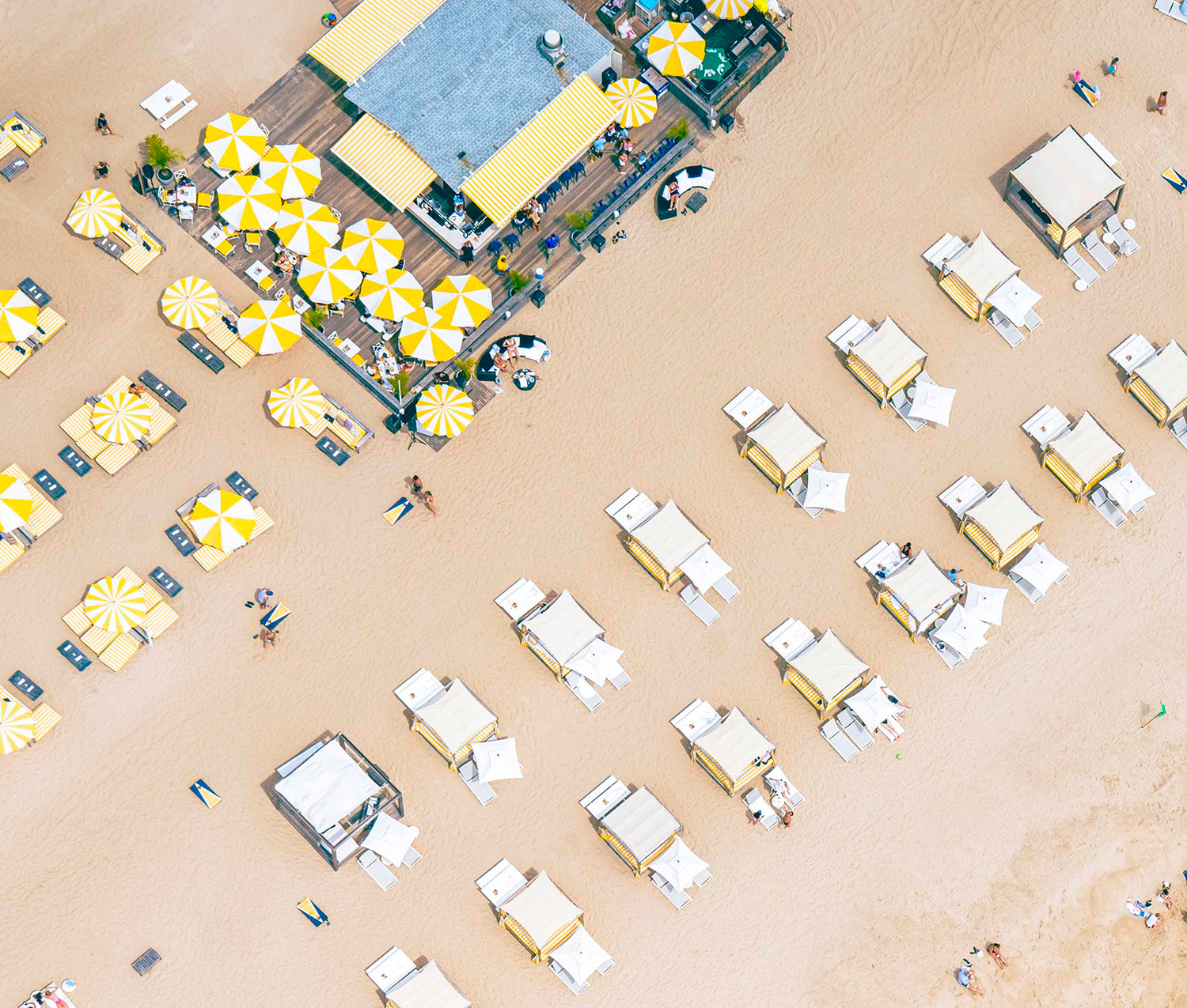 'Gurney's Life' by Dinesh Boaz