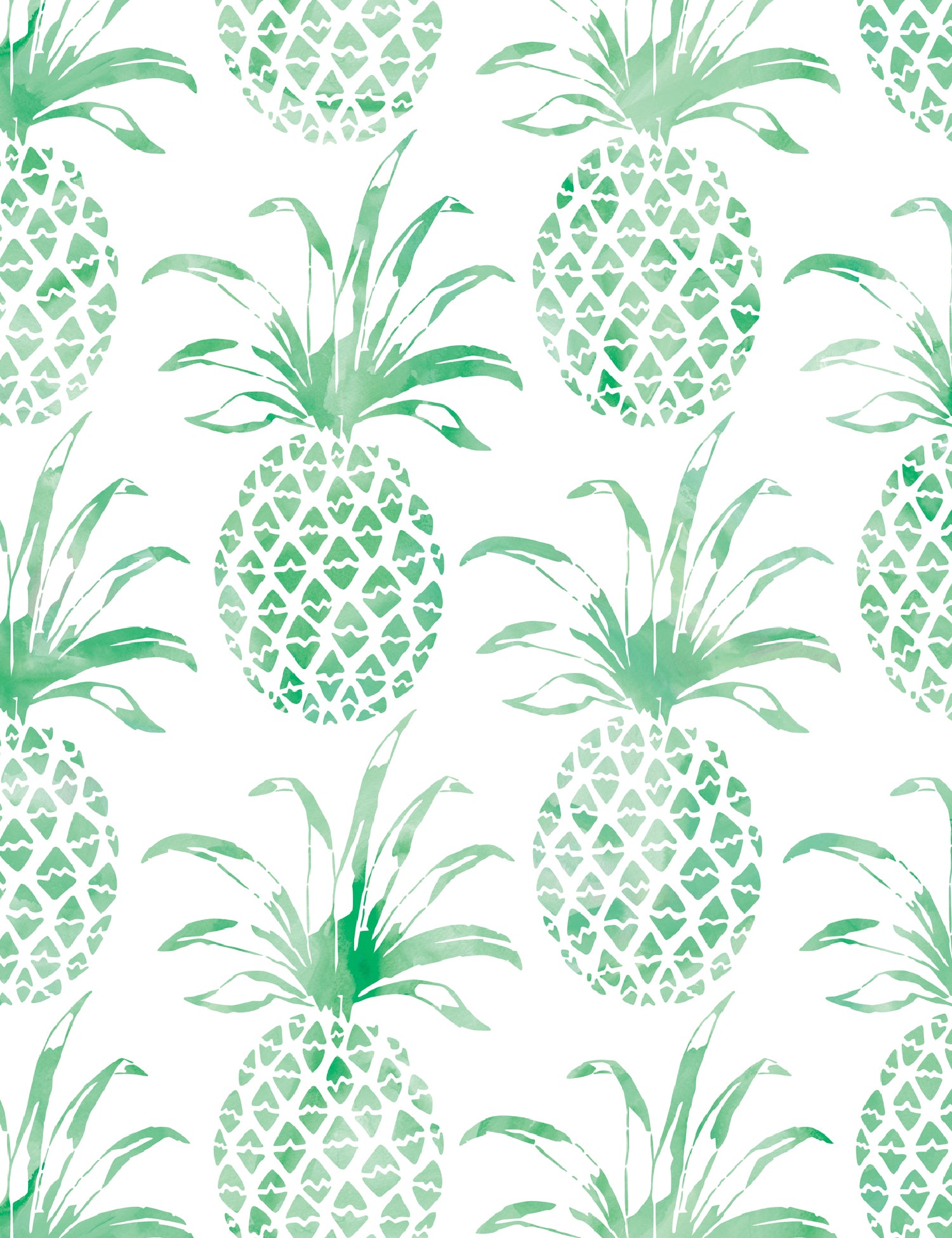 Piña Pintada Eclectus