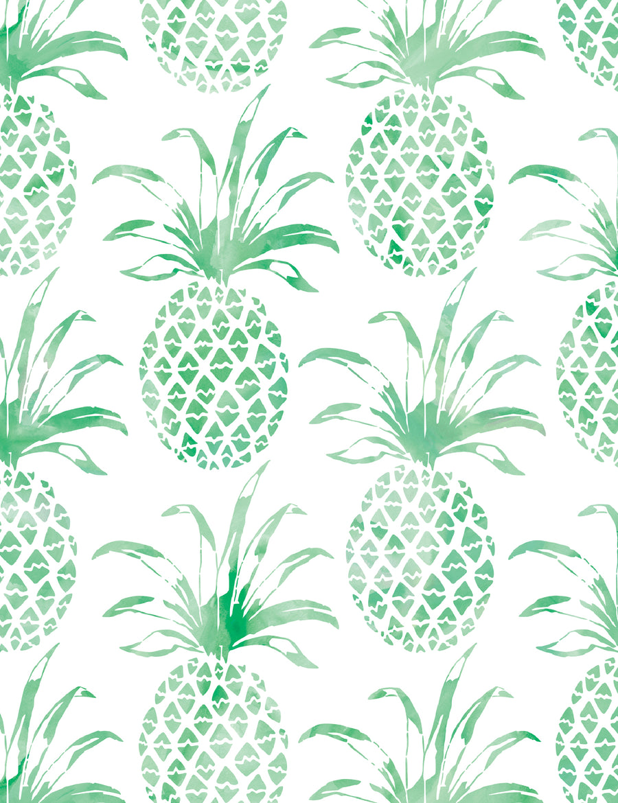 Piña Pintada Eclectus