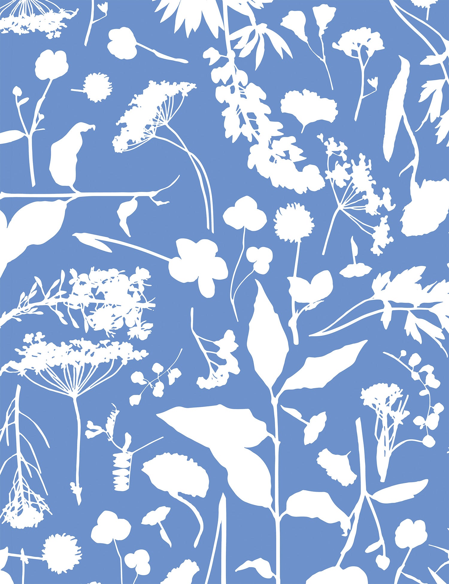 Roadside Flower Borage