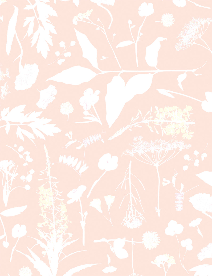 Roadside Flower Evena