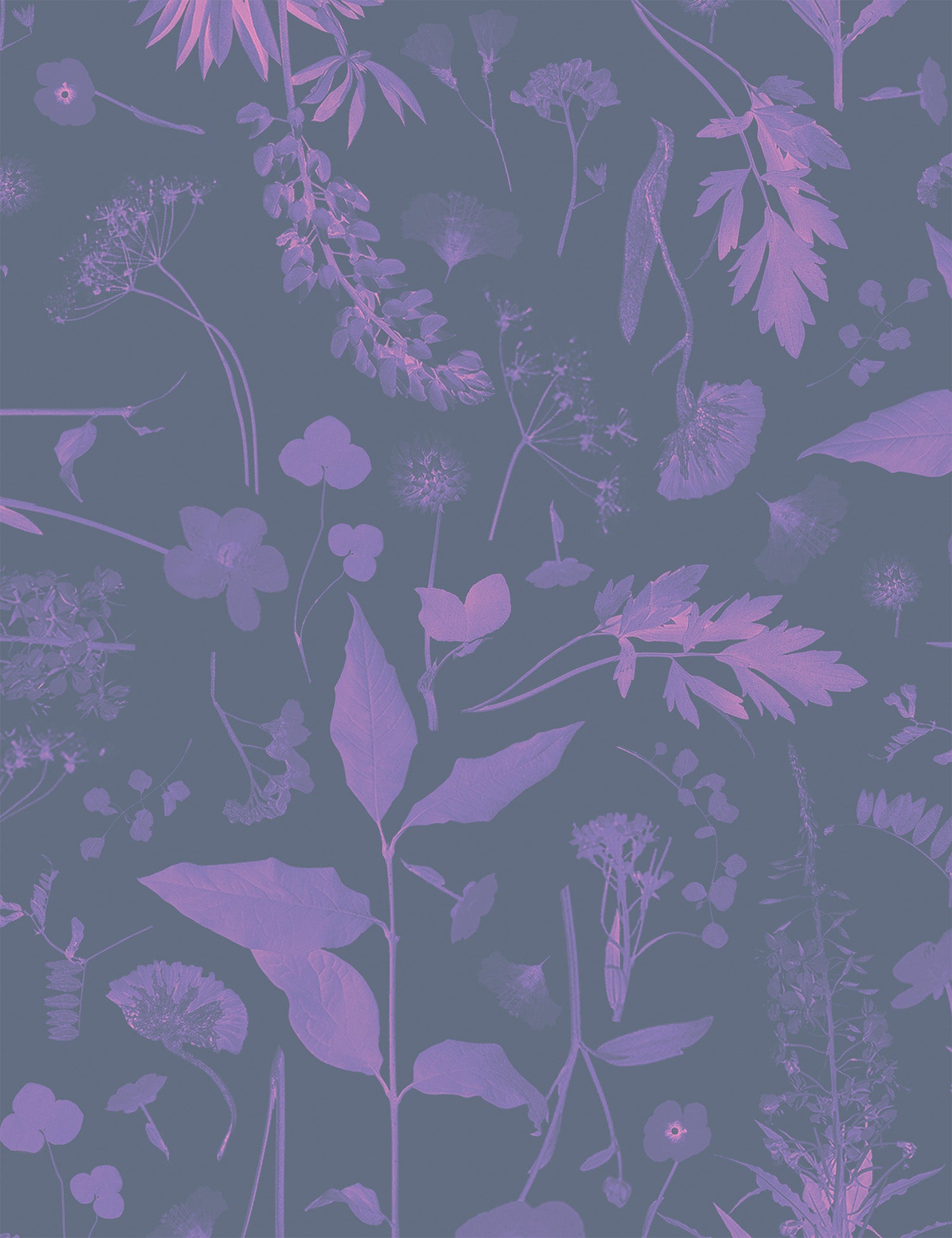 Roadside Flower Jewel