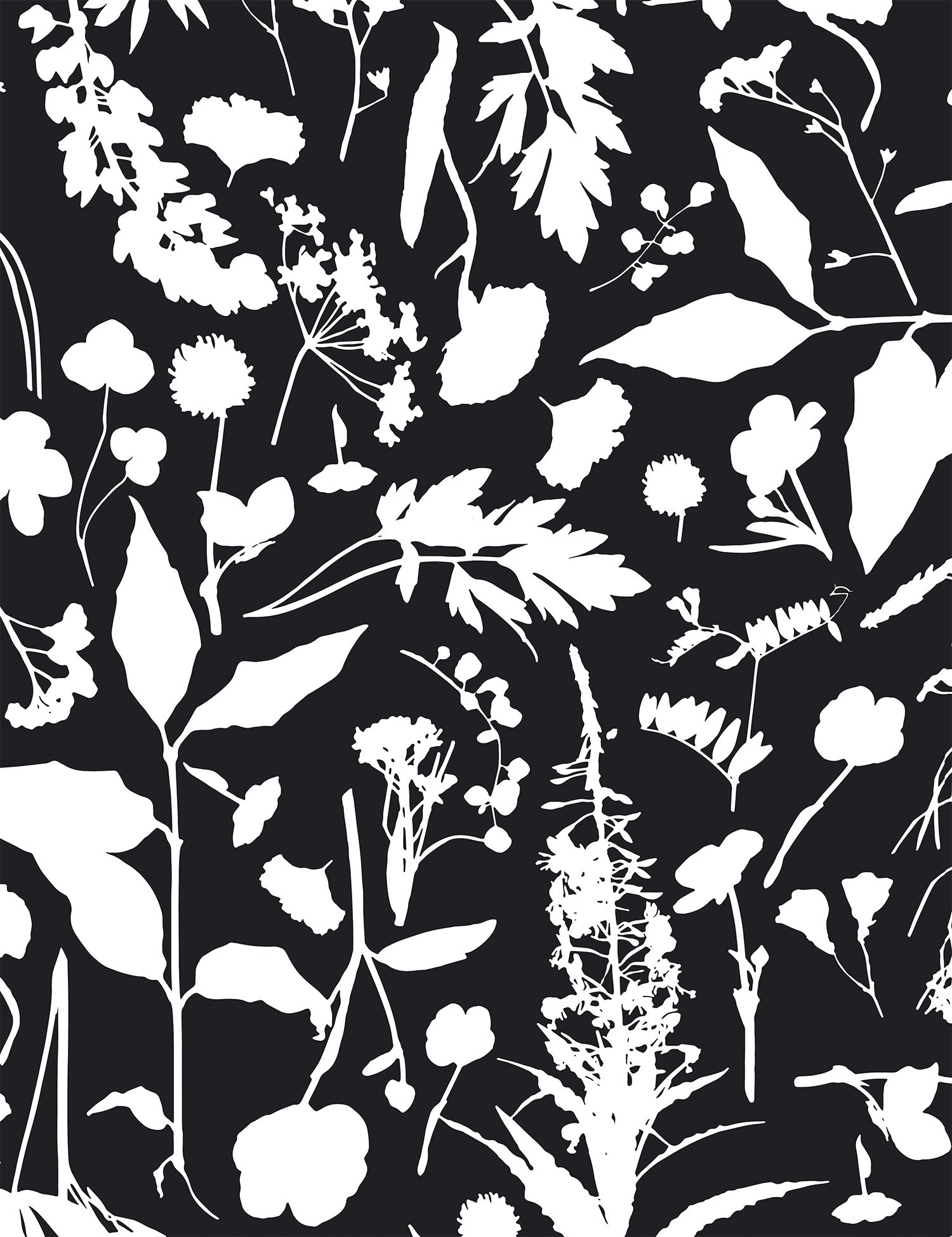 Roadside Flower Kielo