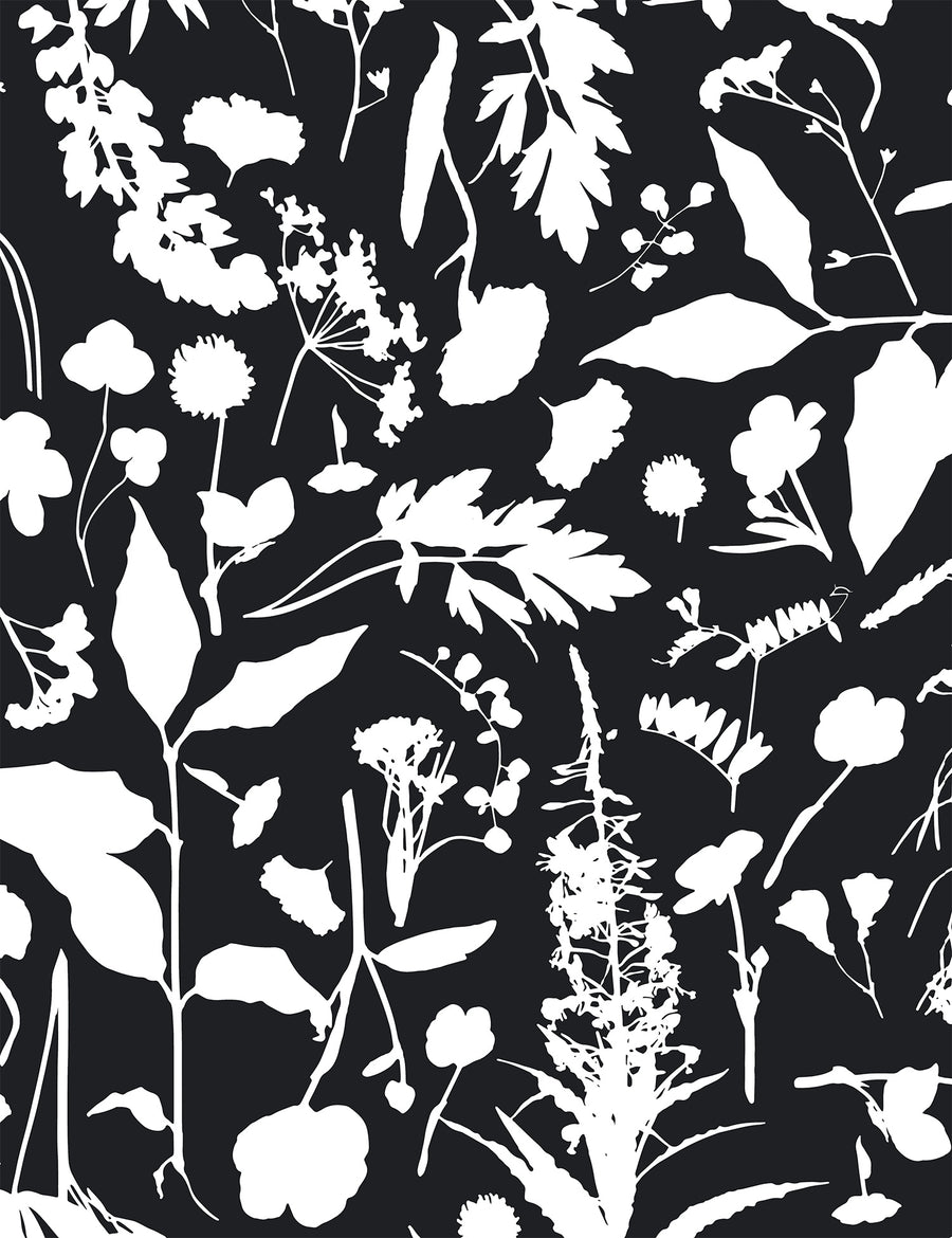 Roadside Flower Kielo