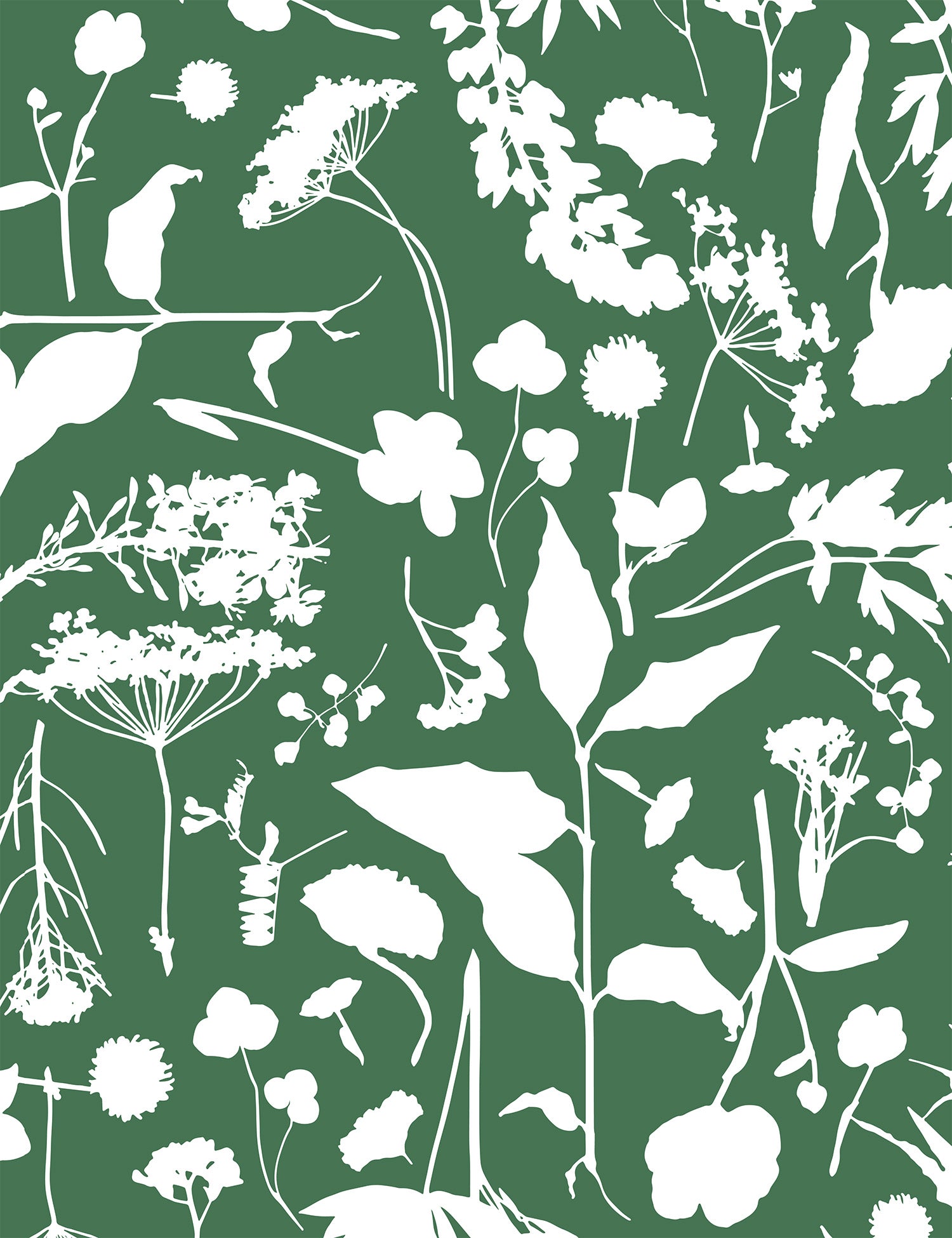 Roadside Flower Veris