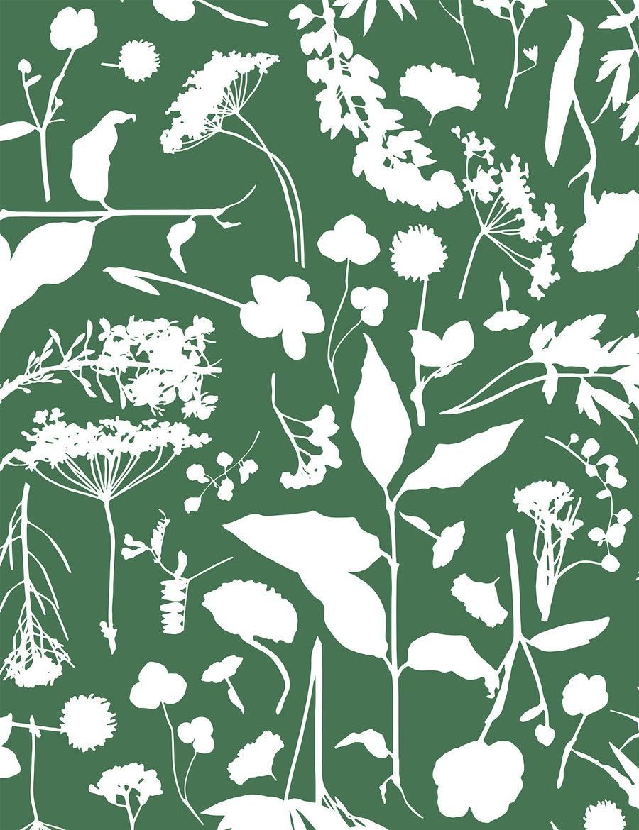 Roadside Flower Veris