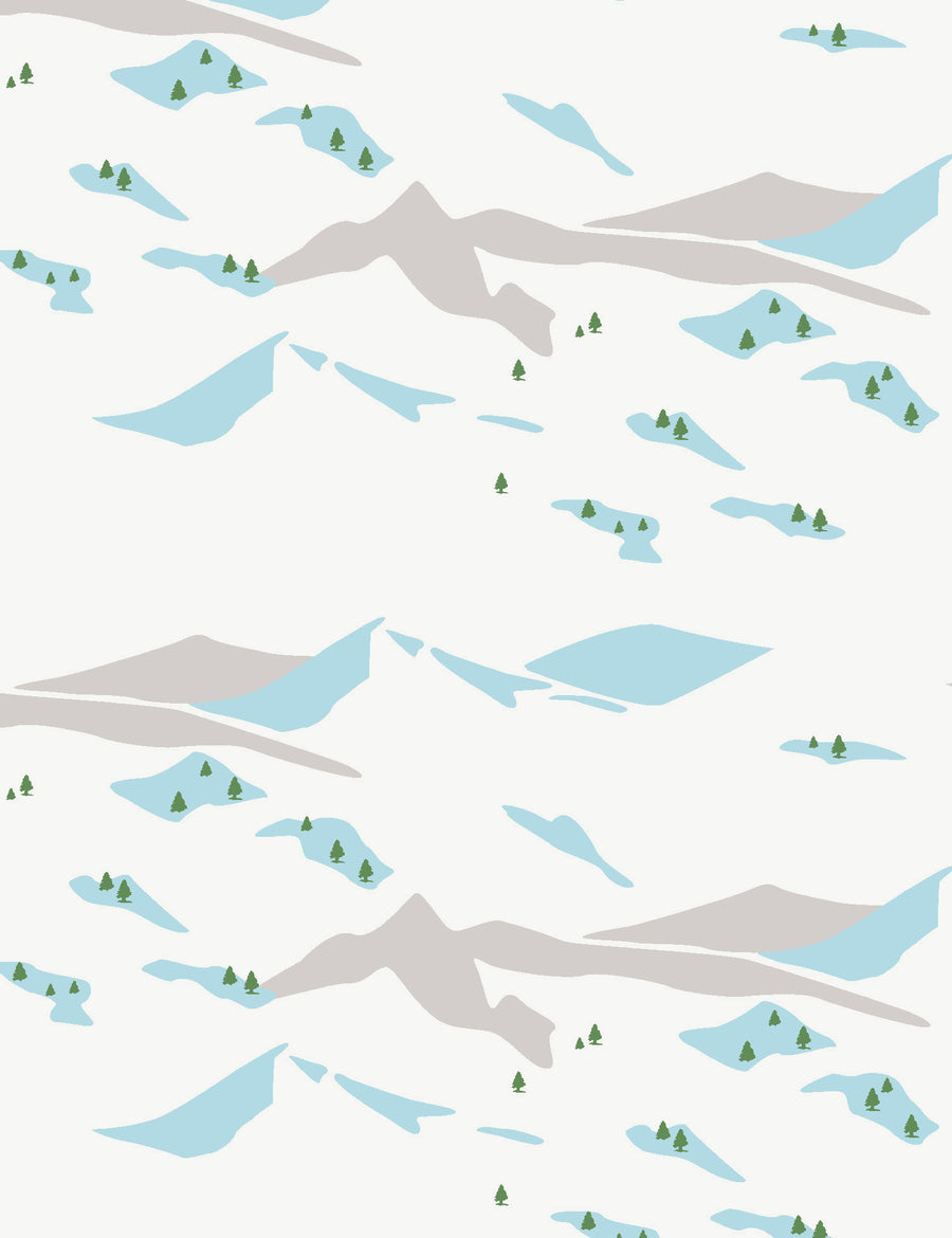 Snow Scene Avalanche