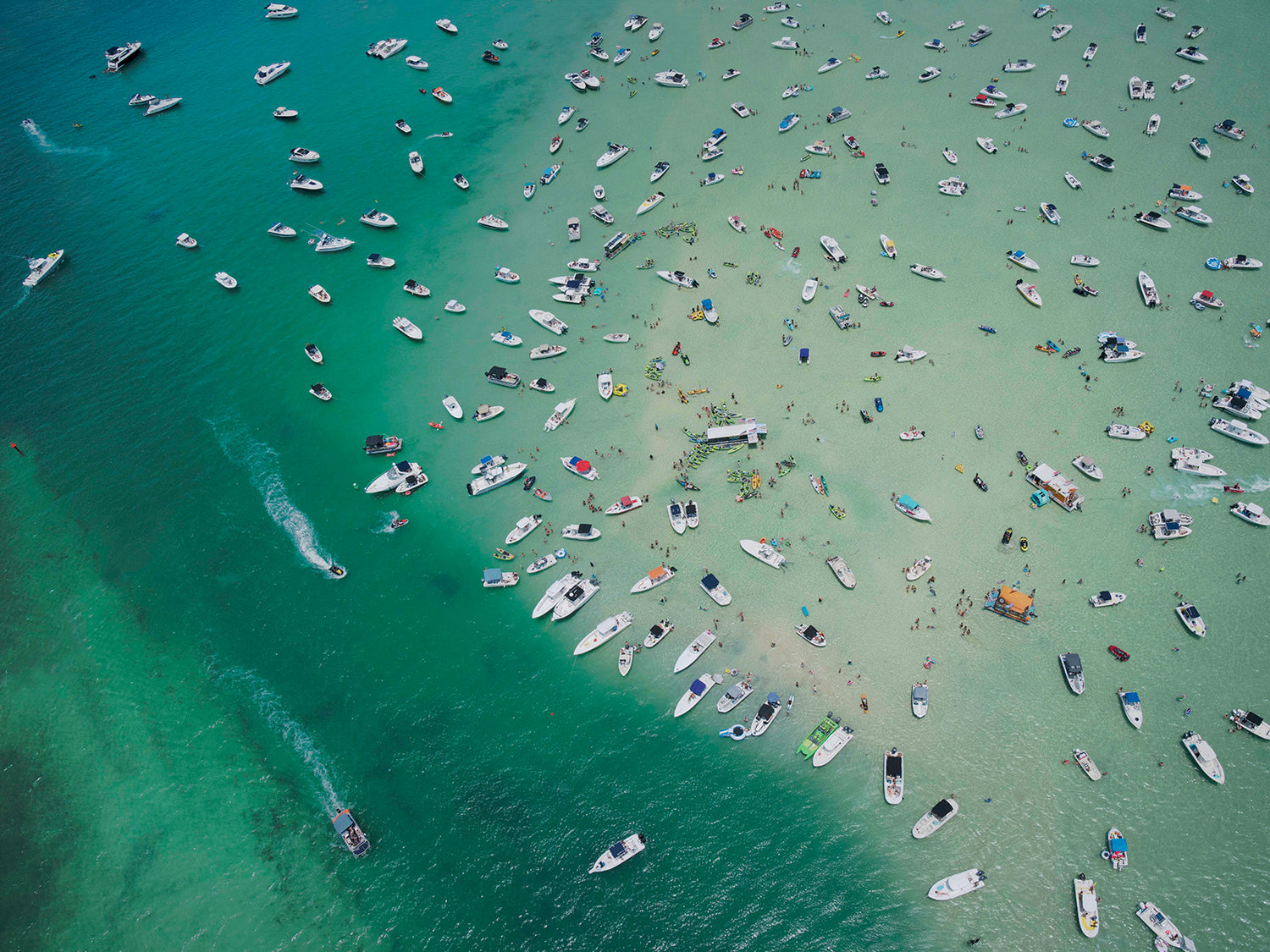 'We Came to Party' by Dinesh Boaz